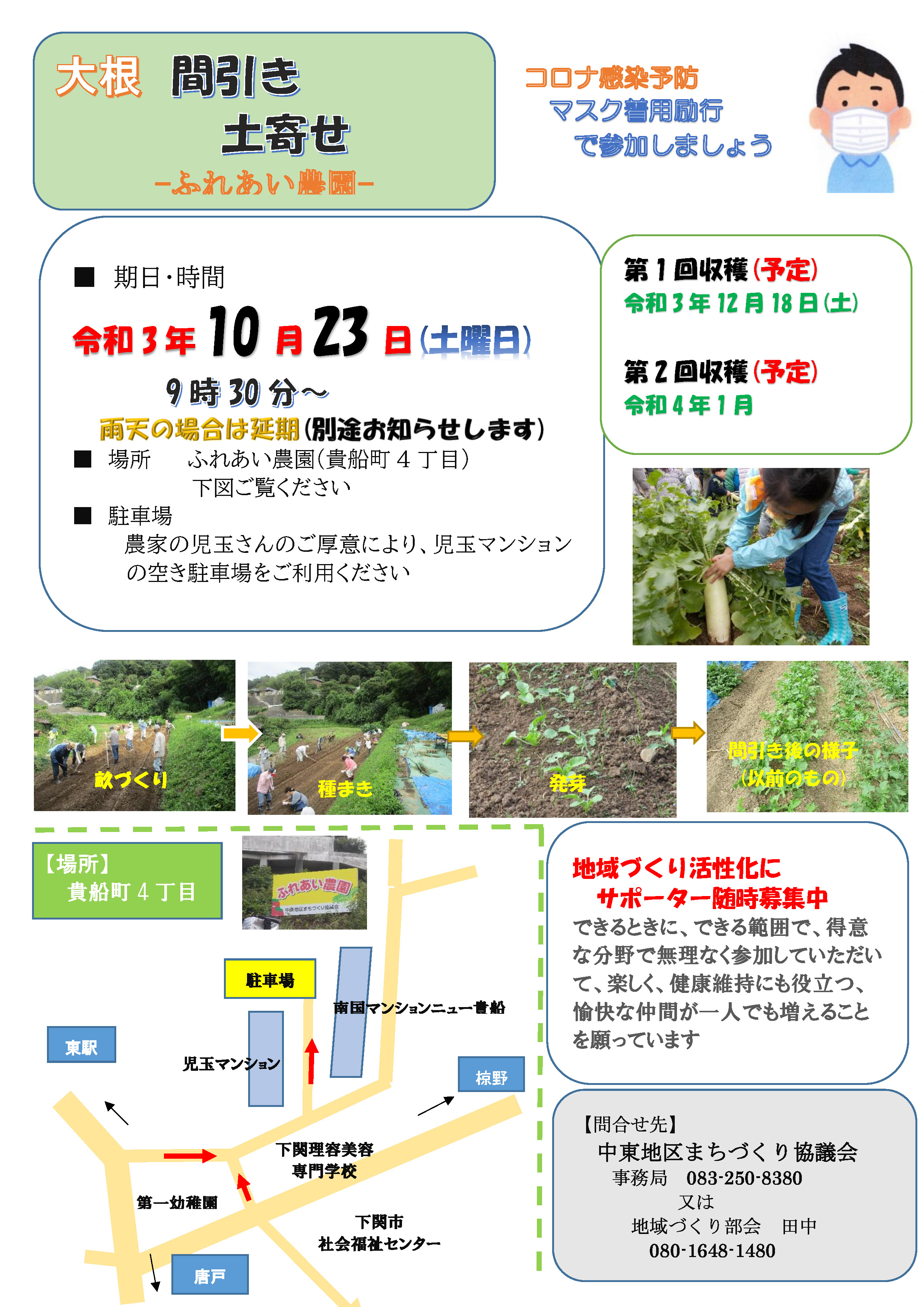 大根 間引き・土寄せ